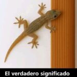 El Verdadero Significado de Que una Lagartija Entre a Tu Casa
