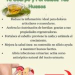 El Poder de la Planta: Descubre los Múltiples Beneficios del Té de Cola de Caballo