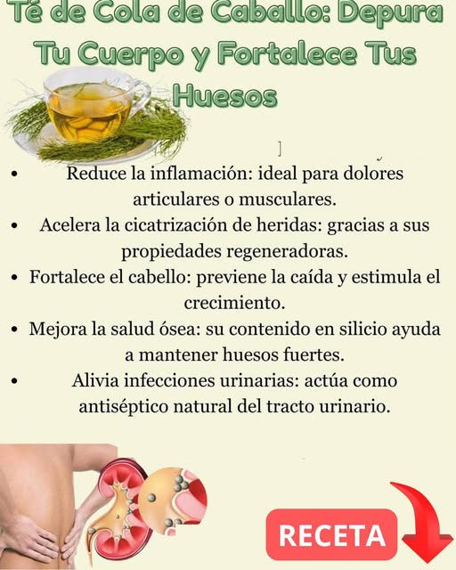 Beneficios del té de cola de caballo