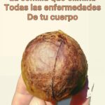 Los Beneficios Ocultos de la Semilla de Aguacate para la Salud