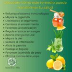 Aloe Vera, Miel y Limón: El Trío Natural para Mejorar Tu Salud