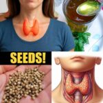 6 Pasos Fáciles para Sanar tu Tiroides de Forma Natural