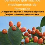 10 Beneficios del Nopal y Recetas Deliciosas para Salud Natural