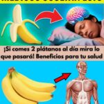 Los Increíbles Beneficios de Comer Solo Dos Plátanos al Día