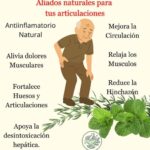 Hierbabuena y Romero: El Poderoso Remedio Natural para Articulaciones y Más