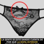 Descubriendo el Lazo en la Ropa Interior Femenina: Un Elemento Sorprendente