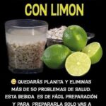 Beneficios del Agua de Avena con Limón: La Bebida Natural que Transformará tu Salud