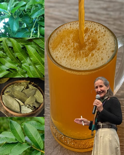 Infusión de hojas medicinales
