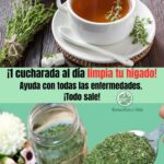 ¡Desintoxica tu Hígado Con Este Poderoso Remedio Natural!