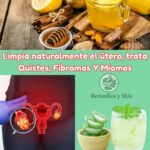Remedios Naturales para Limpiar el Útero y Tratar Quistes, Fibromas y Miomas