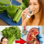 Los Beneficios del Apio: Un Superalimento para tus Riñones y tu Salud