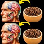 ¿Qué pasa si comes 2 clavos al día? Beneficios del clavo de olor