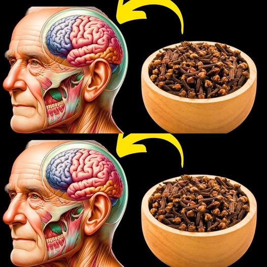 Clavos de olor y salud cerebral