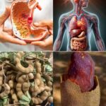 5 Datos Sorprendentes sobre el Tamarindo que Mejorarán tu Salud Digestiva