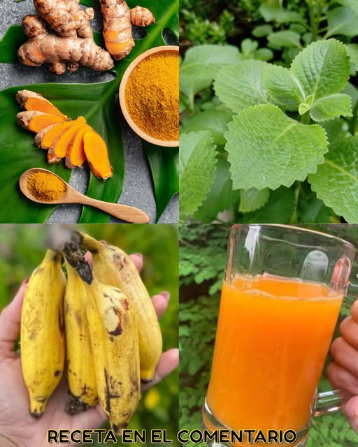 Ingredientes de la bebida saludable