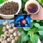 Limpia tus Arterias de Forma Natural: Remedios Caseros Para la Salud Cardiovascular