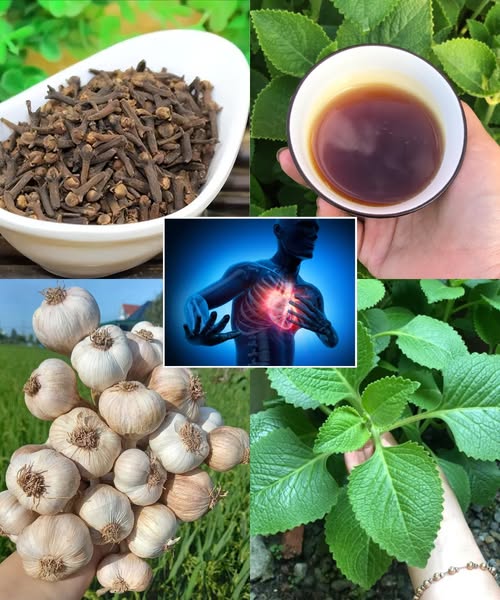 Remedios Naturales para la Salud Cardiovascular