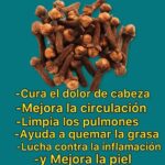 Los Increíbles Beneficios del Clavo de Olor para tu Salud
