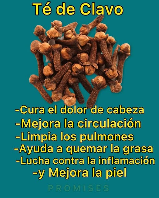 Clavos de olor