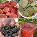 Descubre la Potencia de la Guayaba, el Laurel y el Hibisco para una Vida Saludable