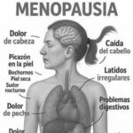 Consejos para una Menopausia Feliz: Síntomas y Remedios Naturales