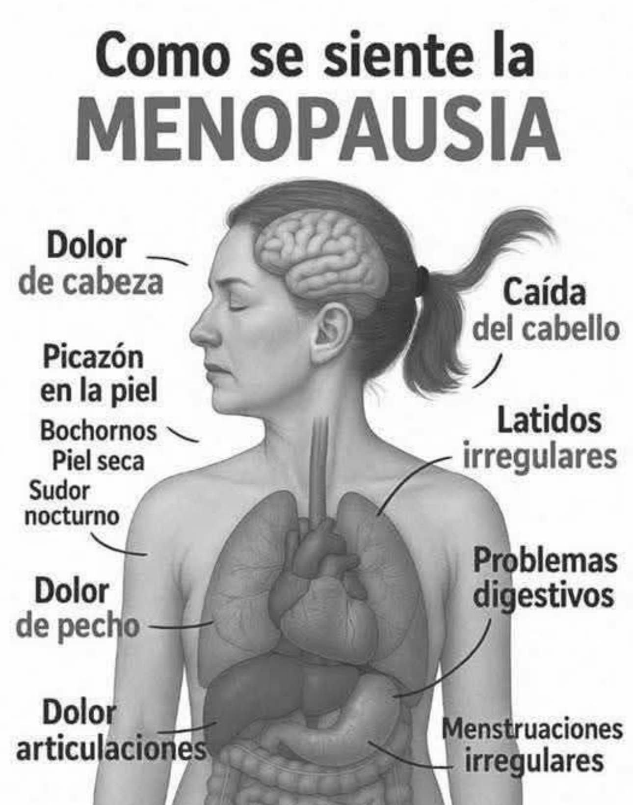 Cómo se siente la menopausia