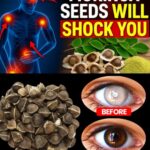 12 Beneficios Sorprendentes de las Semillas de Moringa para Tu Salud