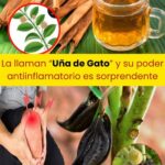 Uña de Gato: El Poder de la Naturaleza Contra el Dolor e Inflamación