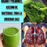 La Bebida Verde que Limpia Riñones, Hígado y Pulmones