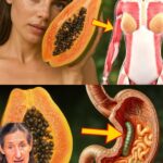 ¡Descubre Cómo las Semillas de Papaya Pueden Combatir 10 Problemas de Salud Comunes!