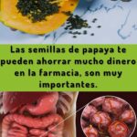Las Semillas de Papaya: Un Remedio Natural para Ahorrar en Salud