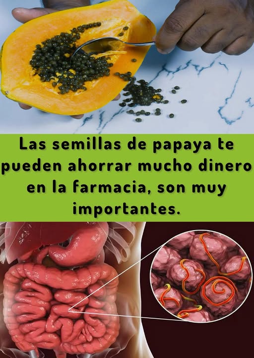 Semillas de Papaya