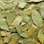 Los Beneficios del Laurel: Una Hoja Milagrosa para tu Salud