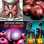 Los Sorprendentes Beneficios para la Salud de las Cebollas