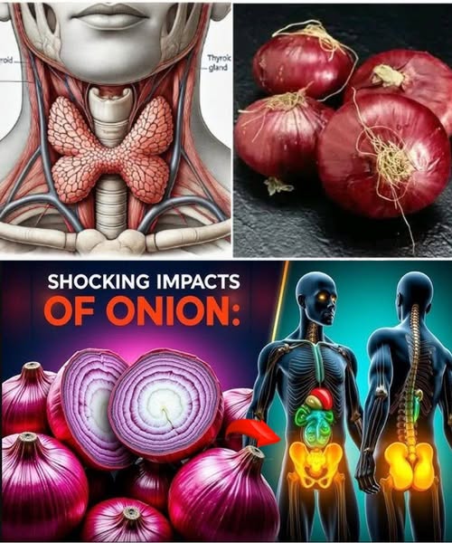 Cebollas y Salud
