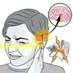 Zumbido en el Oído: Causas, Síntomas y Remedios Naturales