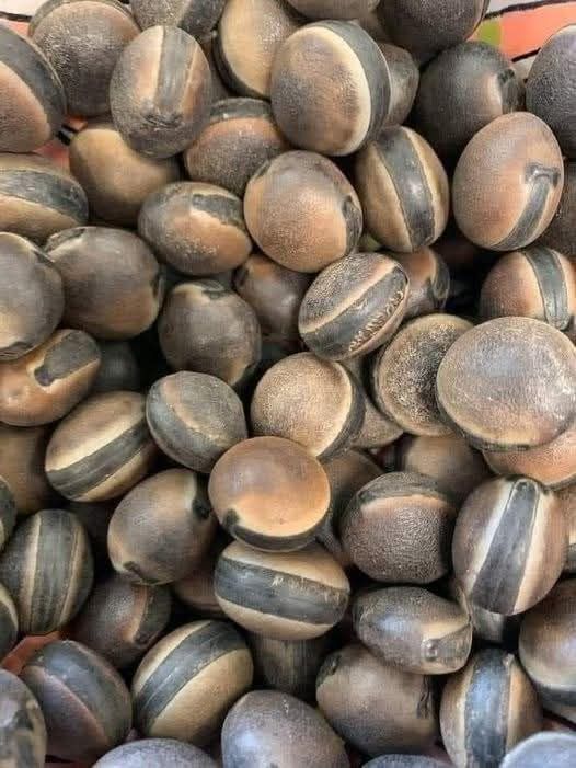 Semillas de guaraná