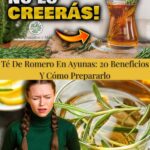 Té De Romero En Ayunas: 20 Beneficios Y Cómo Prepararlo