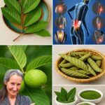 Increíbles Usos de las Hojas de Guayaba para Tu Salud