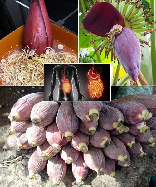 Flor de plátano y sus usos