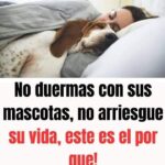 Los Riesgos de Dormir con tu Mascota y Cómo Proteger tu Salud