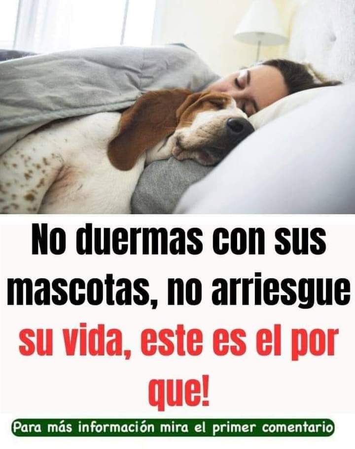 Persona durmiendo junto a su perro