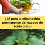Té Natural para la Eliminación Permanente del Exceso de Ácido Úrico