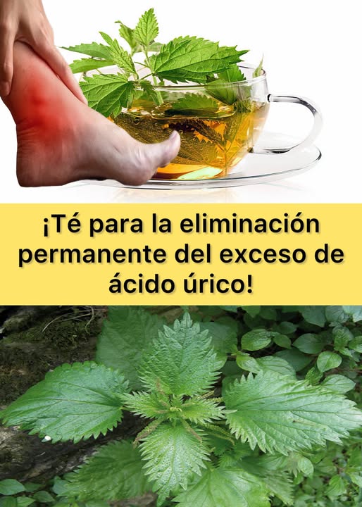 Té de ortiga para la salud del ácido úrico