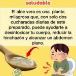 Aloe Vera para un Colon Más Saludable: Tu Aliado Natural Diariamente