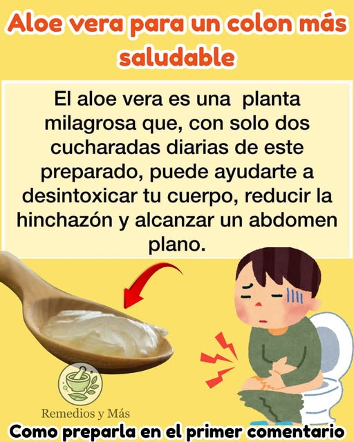 Aloe Vera para la salud digestiva