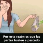 Cómo Combatir el Mal Olor en la Ropa Interior Femenina: Consejos y Remedios Naturales