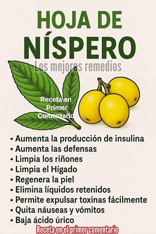 Hojas y frutos de níspero