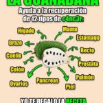 Los Sorprendentes Beneficios de la Guanábana y una Receta Deliciosa
