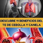11 Beneficios del Té de Cebolla y Canela para la Salud